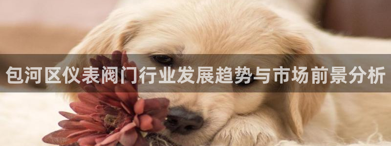 云顶国际高中学费多少一年