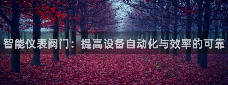 云顶集团3118app功能