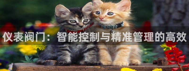 云顶国际提现多久到账户