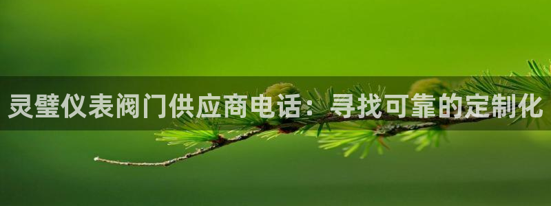 云顶集团官网电话号码