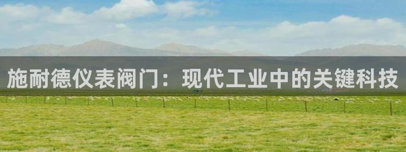 云顶集团中国区总裁