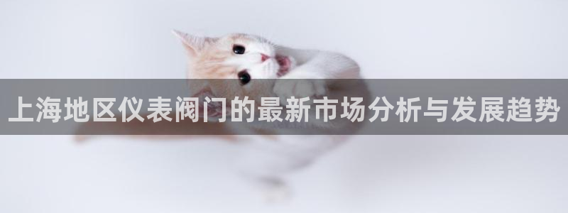 云顶国际服账号