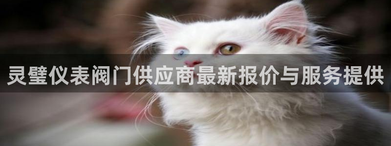 云顶国际培训中心怎么样