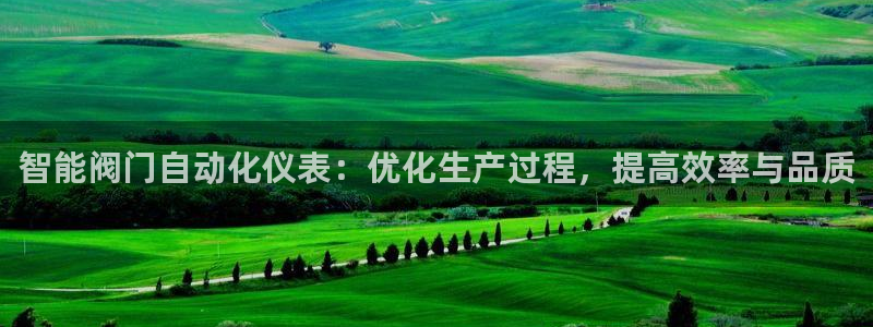 云顶集团有限公司简介